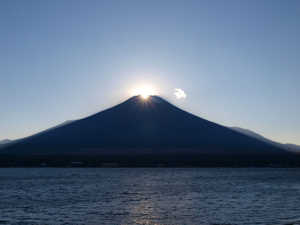 11/9 �_�C�������h�x�m(2)