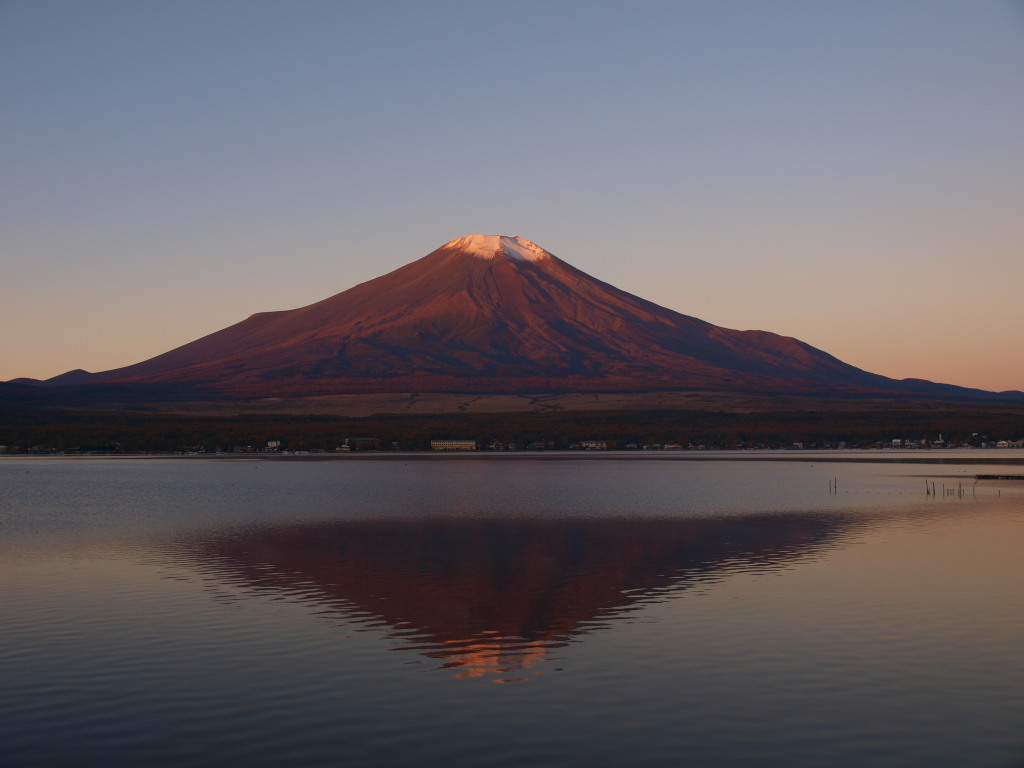 11/10 ���Ă��ƕx�m�R