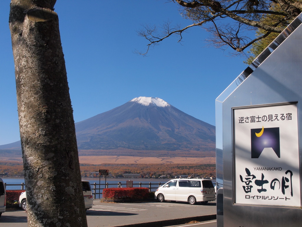 11/10 ���Ԃƕx�m�R