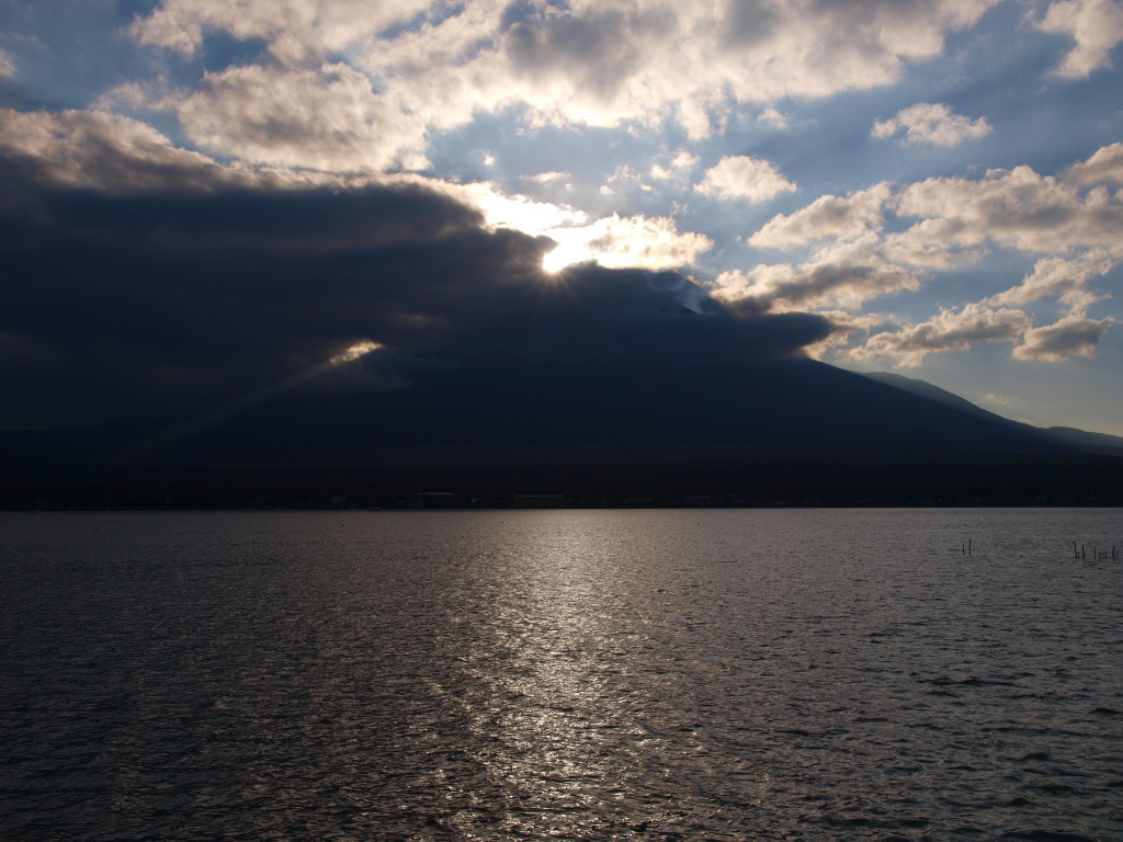 11/11 ������ɒ��ރ_�C�������h�x�m