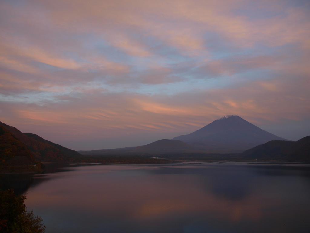 11/14 �[�Ă��ƕx�m�R