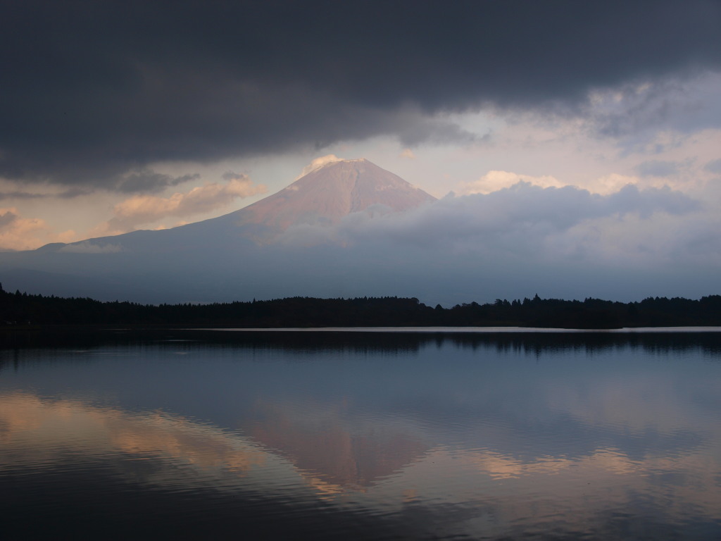 11/15 �c�ь΂���̕x�m�R