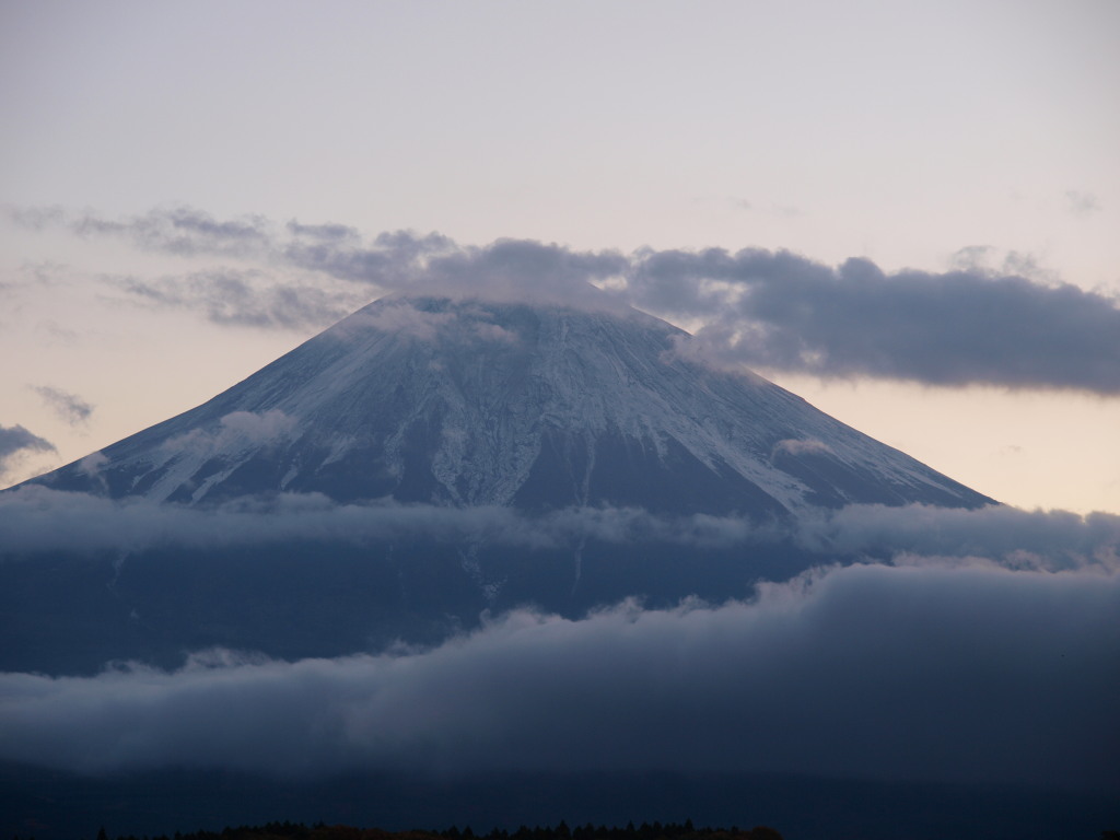 11/16 ��������x�m�R