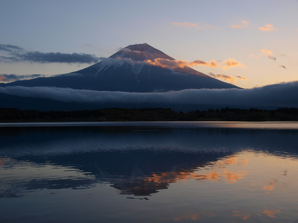 11/16 �c�ь΂���̋t���y�m