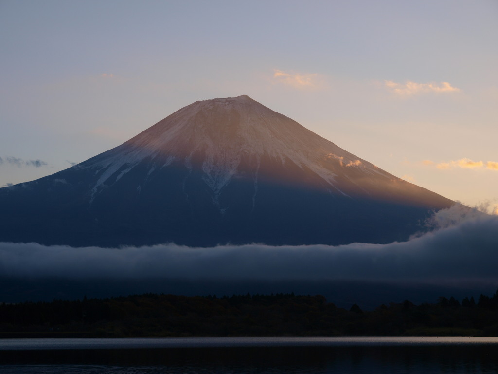 11/16 �I�����W�F�ɐ��܂����x�m�R