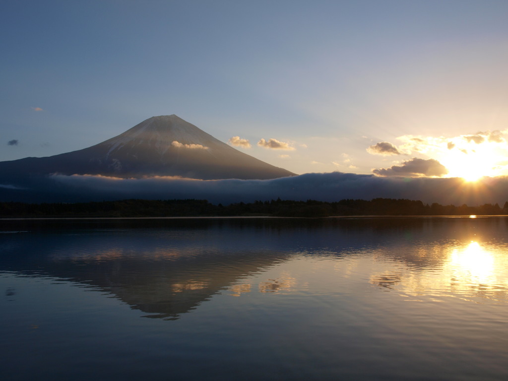 11/16 ���̏o�ƕx�m�R