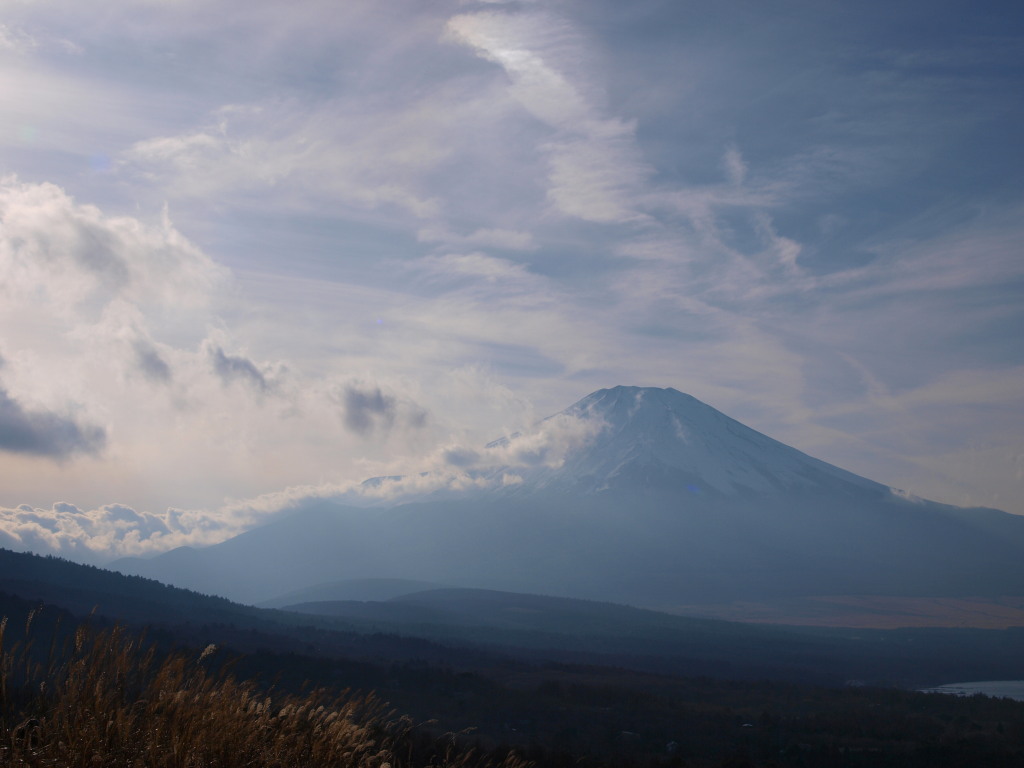 11/30 �_�ƕx�m�R