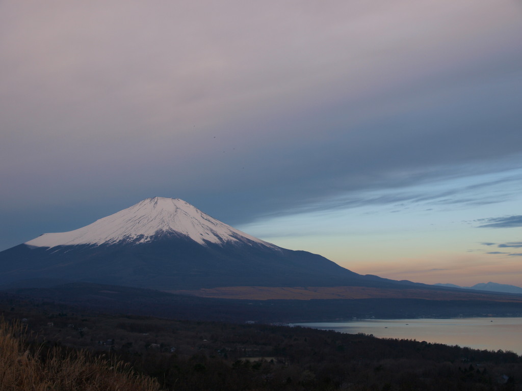 12/1 ���Ă��ƕx�m�R