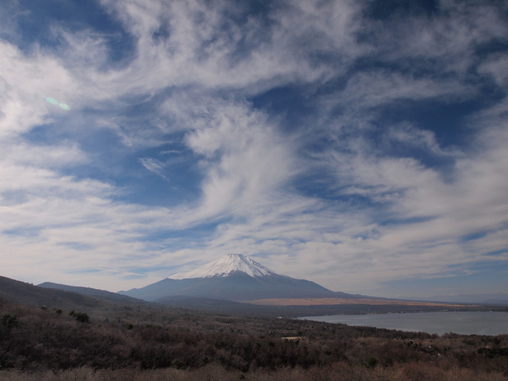 12/1 �_�ƕx�m�R(3)