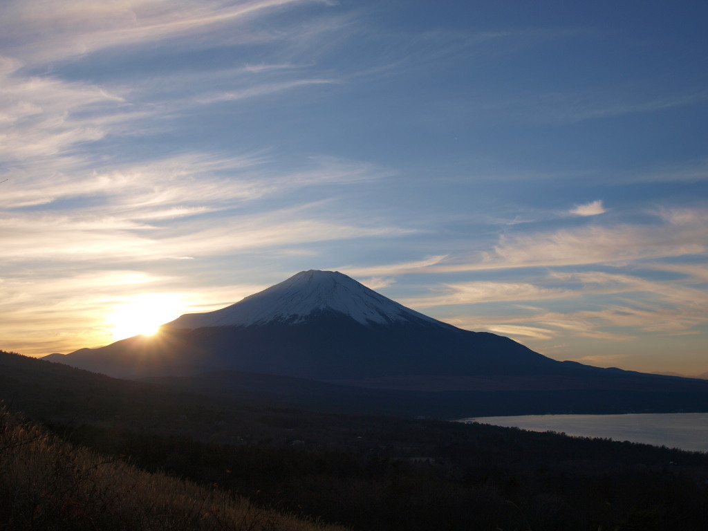 12/1 ���̓���ƕx�m�R