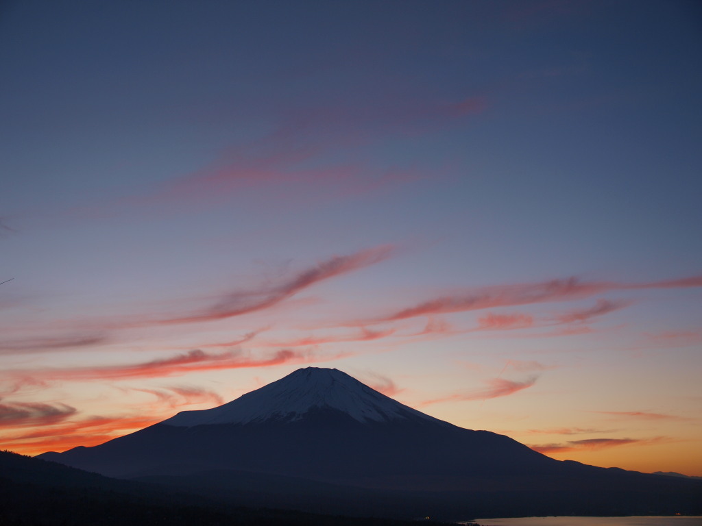 12/1 �[�Ă��ƕx�m�R(5)