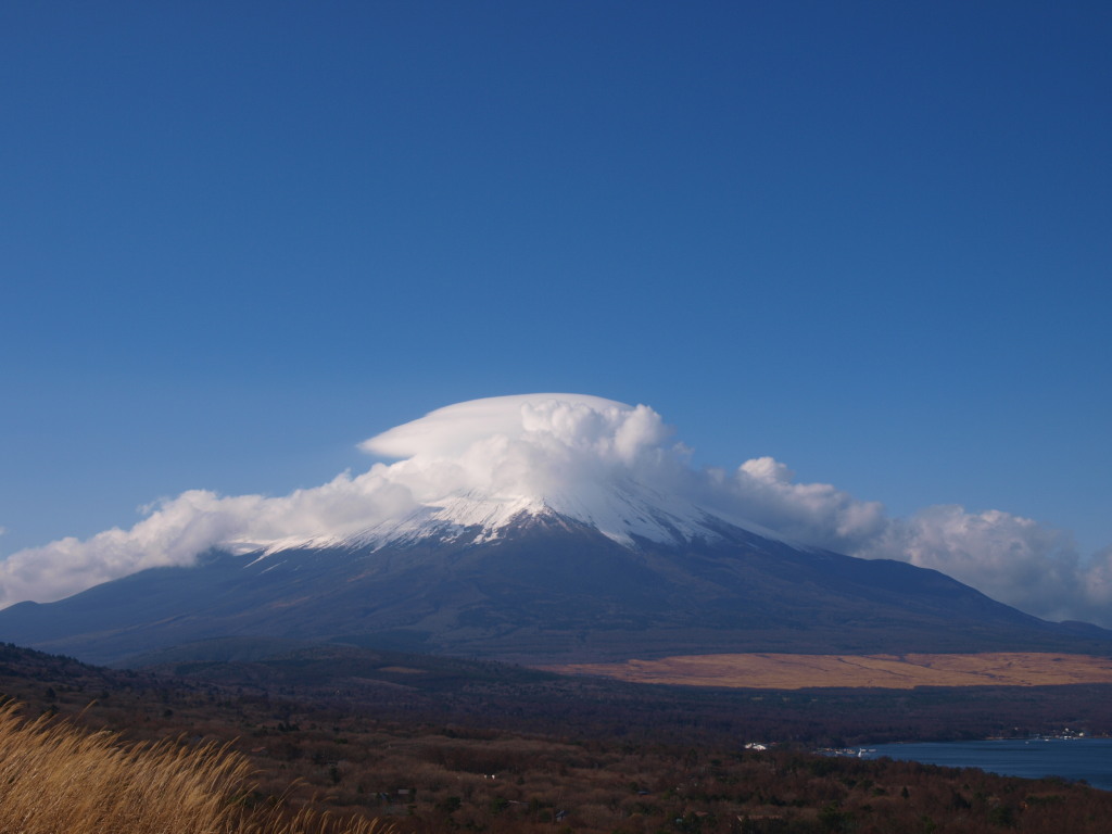 12/3 �P�_�𒸂����x�m�R