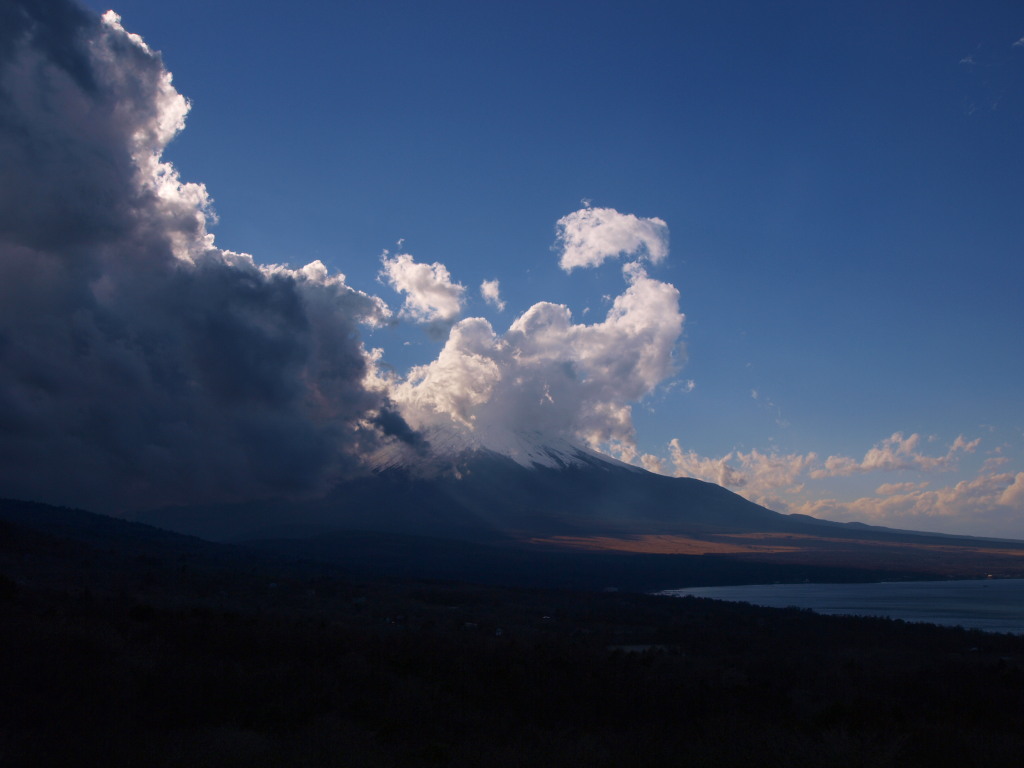 12/3 �_�ƕx�m�R