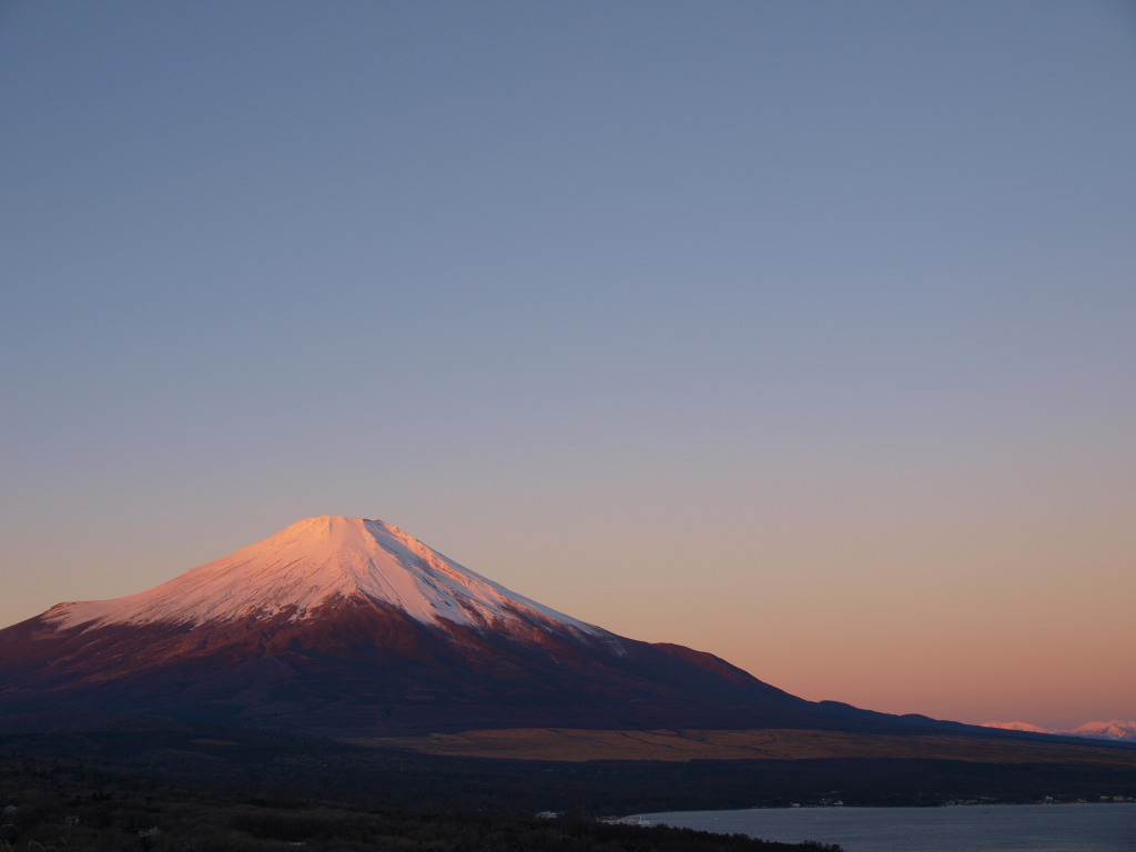 12/4 �F�Â����ꂢ�ȕx�m�R