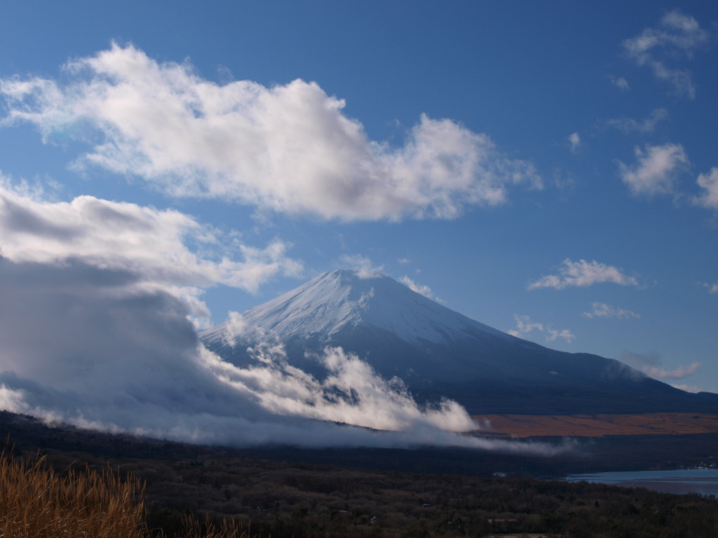 12/14 �_�ƕx�m�R