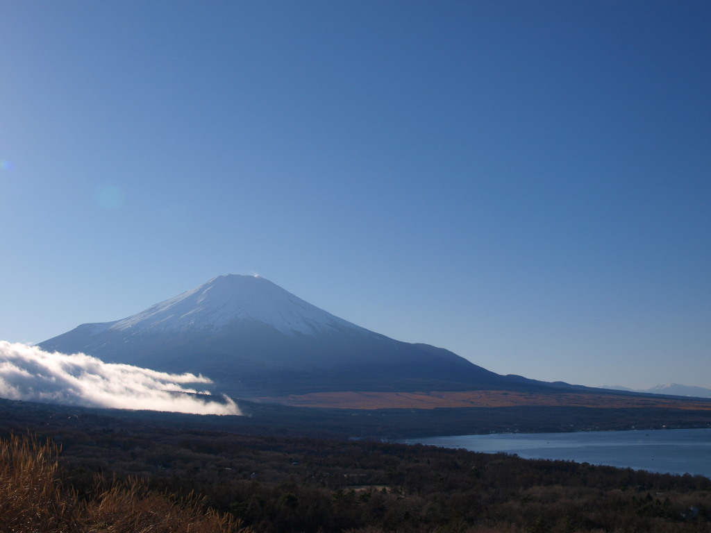 12/14 �s�[�J���̕x�m�R