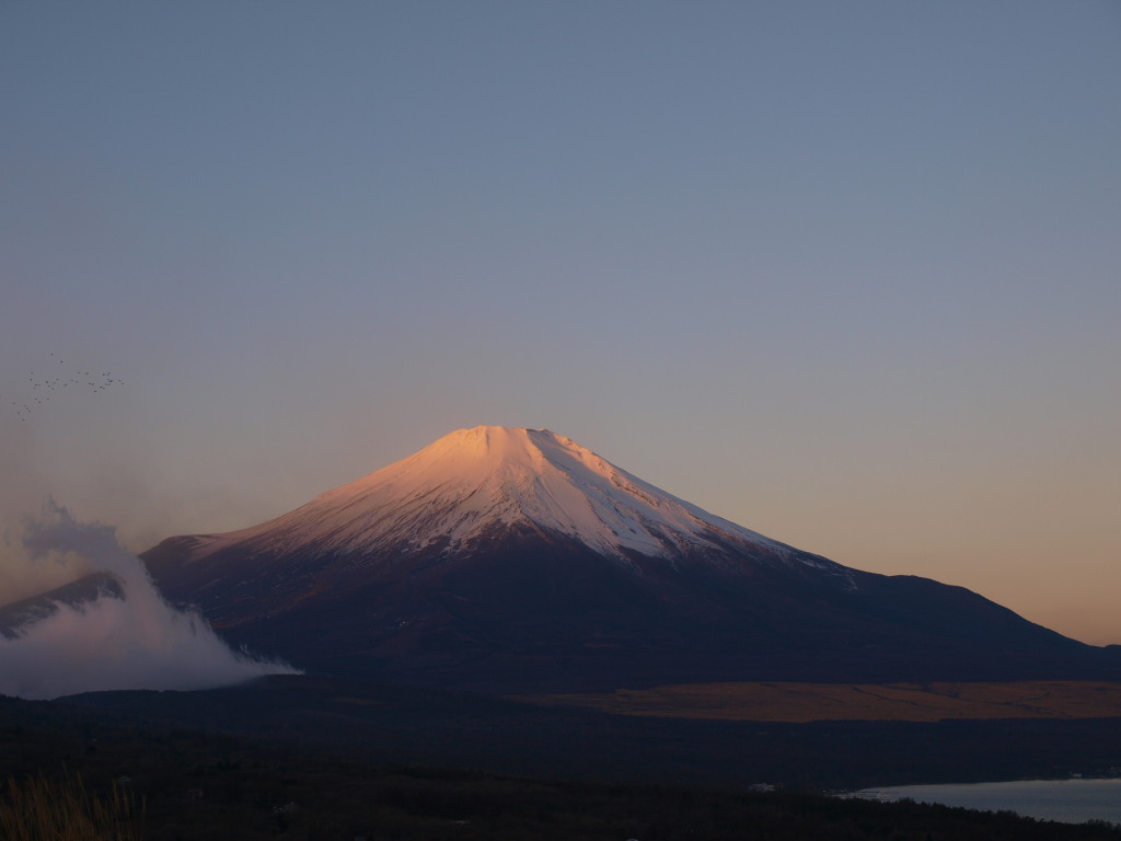 12/15 �I�����W�F�̕x�m�R