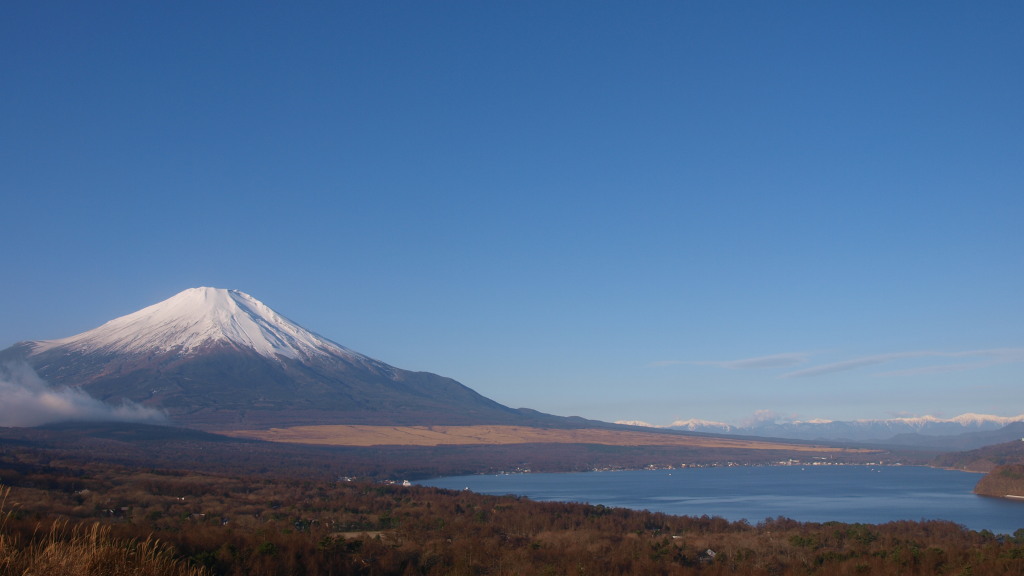 12/15 ��A���v�X�ƕx�m�R