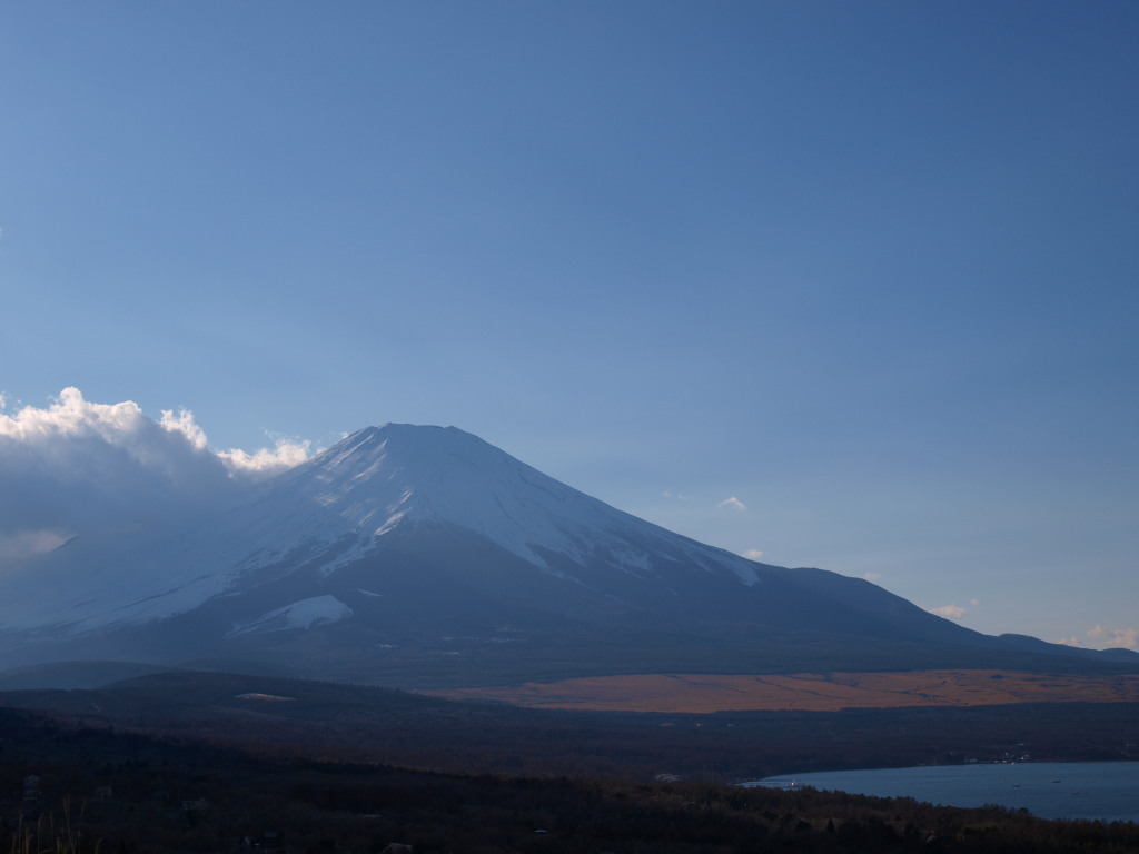 1/4 ���N���̃p�m���}�䂩��̕x�m�R