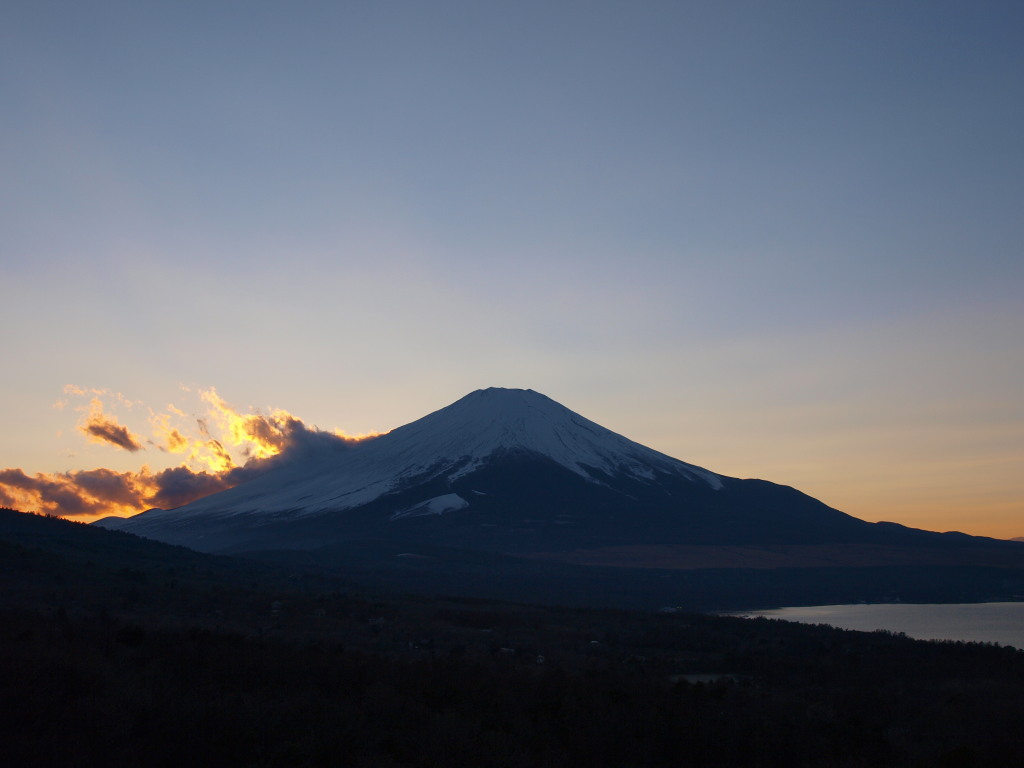 1/4 �[�Ă��ƕx�m�R