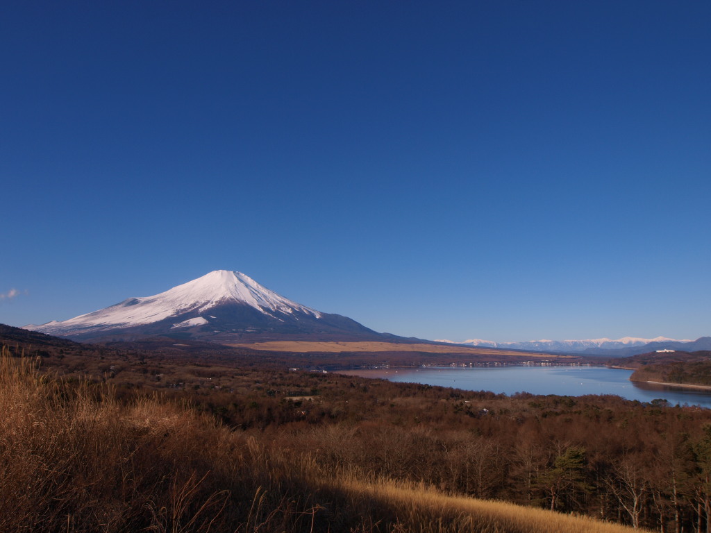 1/5 �R���΂ƃA���v�X�ƕx�m�R