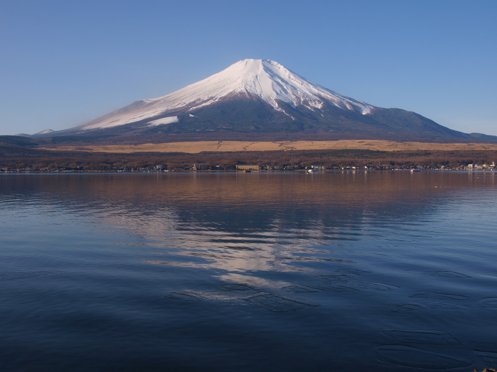 1/9 �t���y�m�Ɣ��X�̕x�m�R