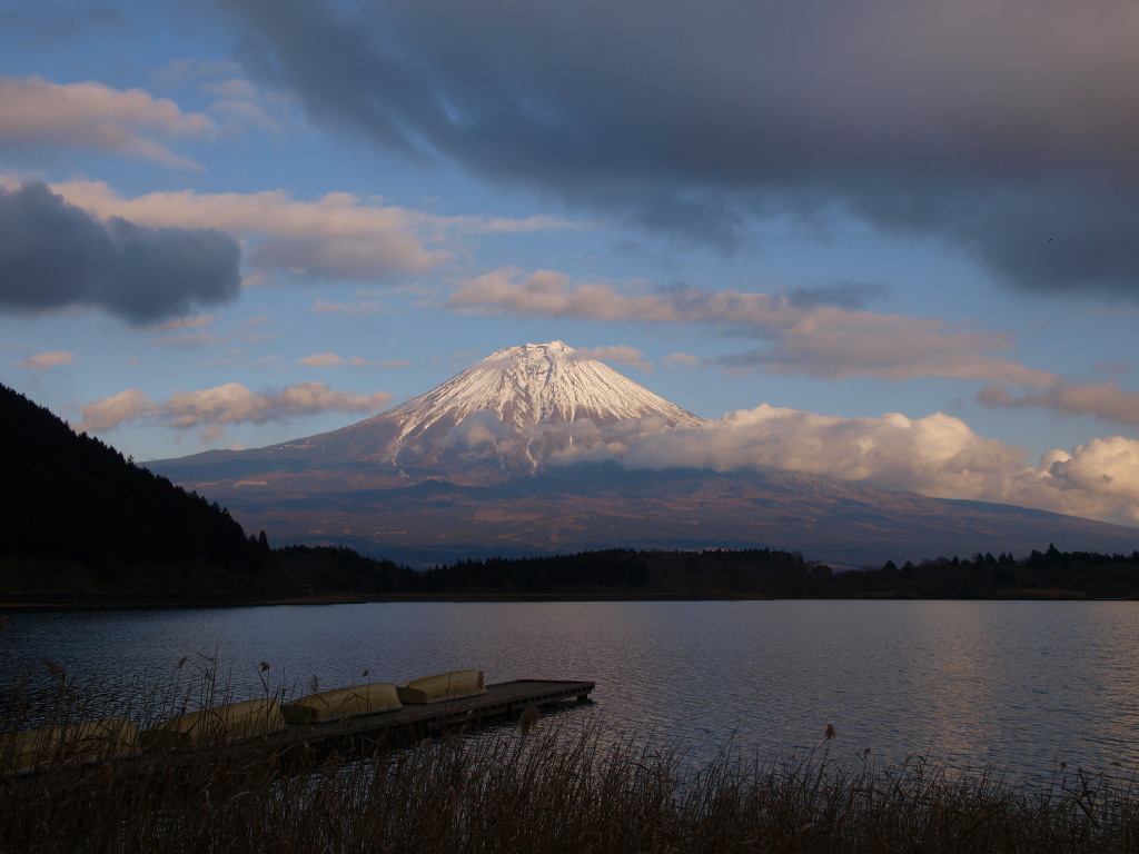 1/11 �c�ь΂���̕x�m�R