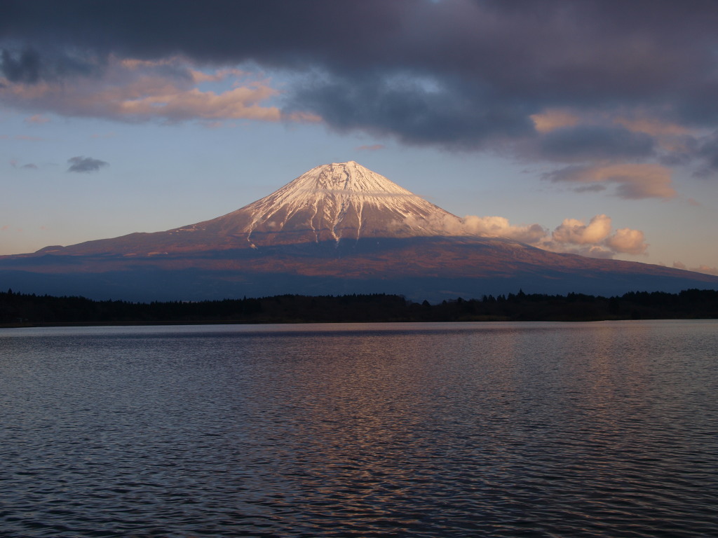 1/11 �[�Ă��O�̕x�m�R