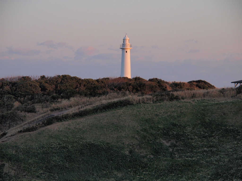 1/25 �ܖ؍蓔��