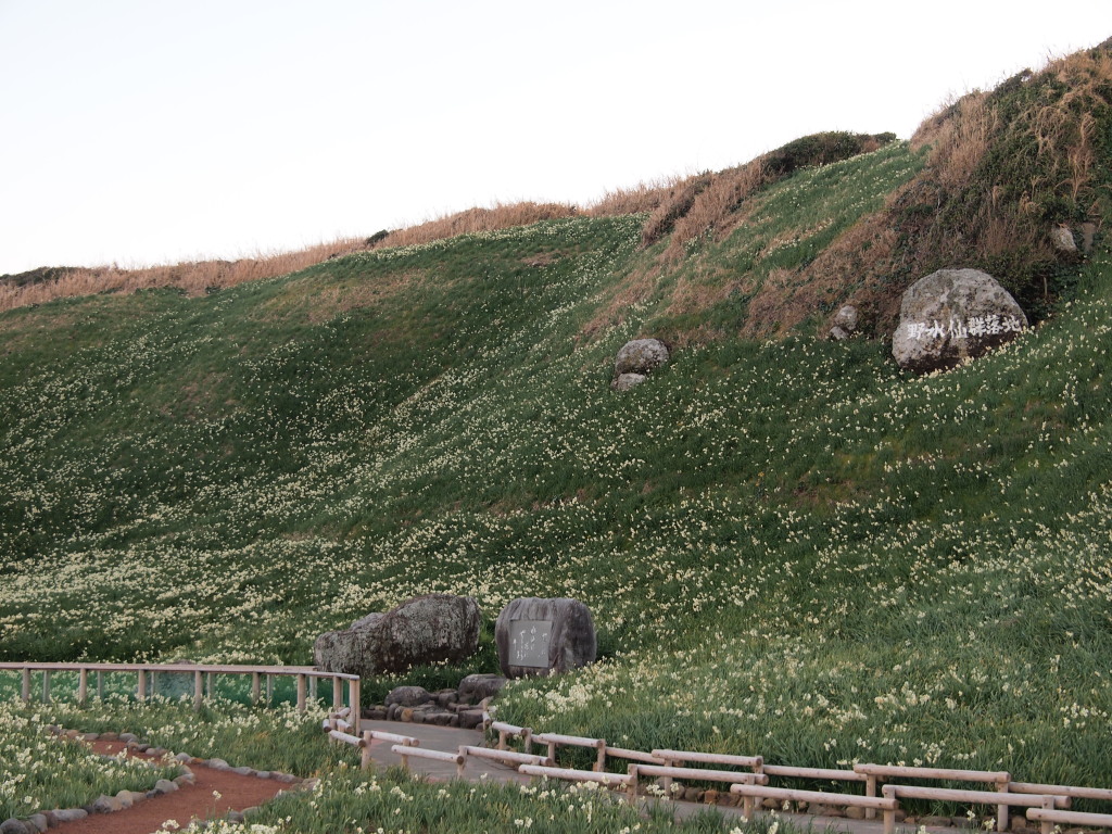 1/25 �쐶����̌Q��