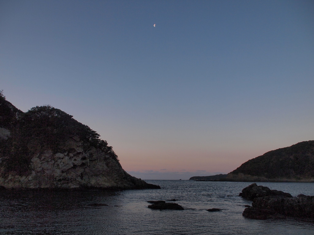 1/26 ���c�`����