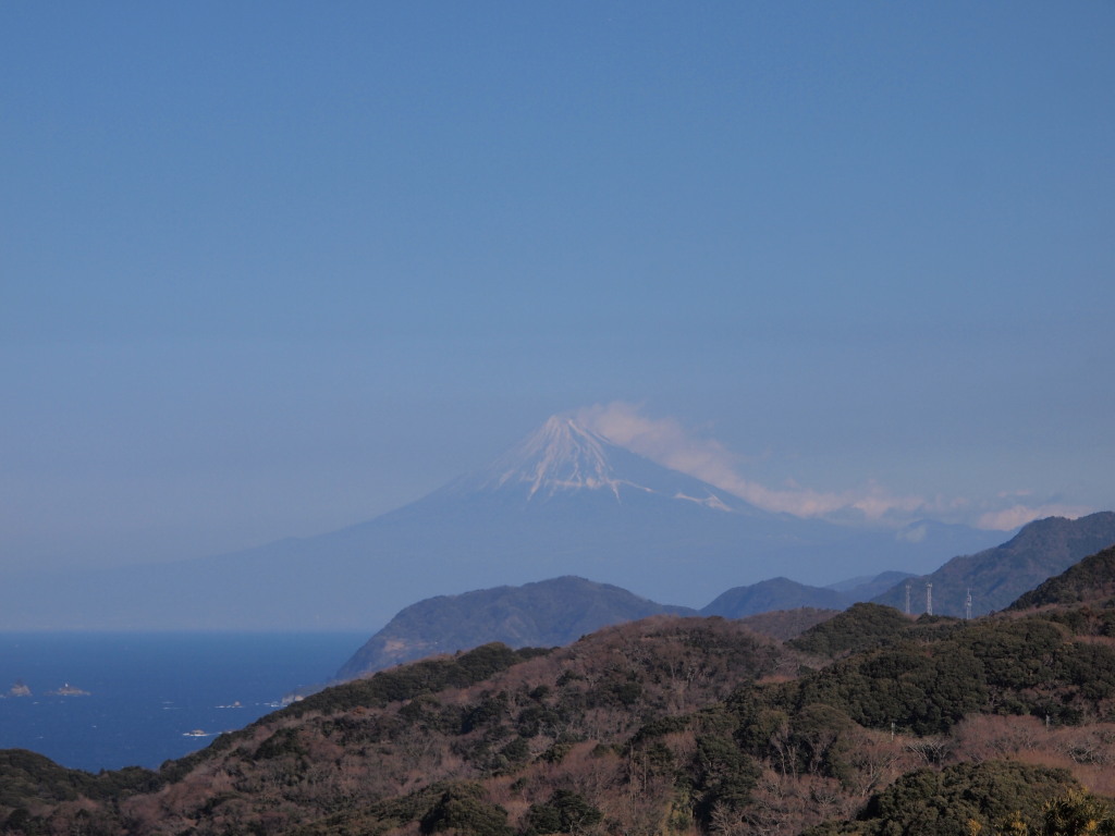 1/26 �Ε�����̕x�m�R