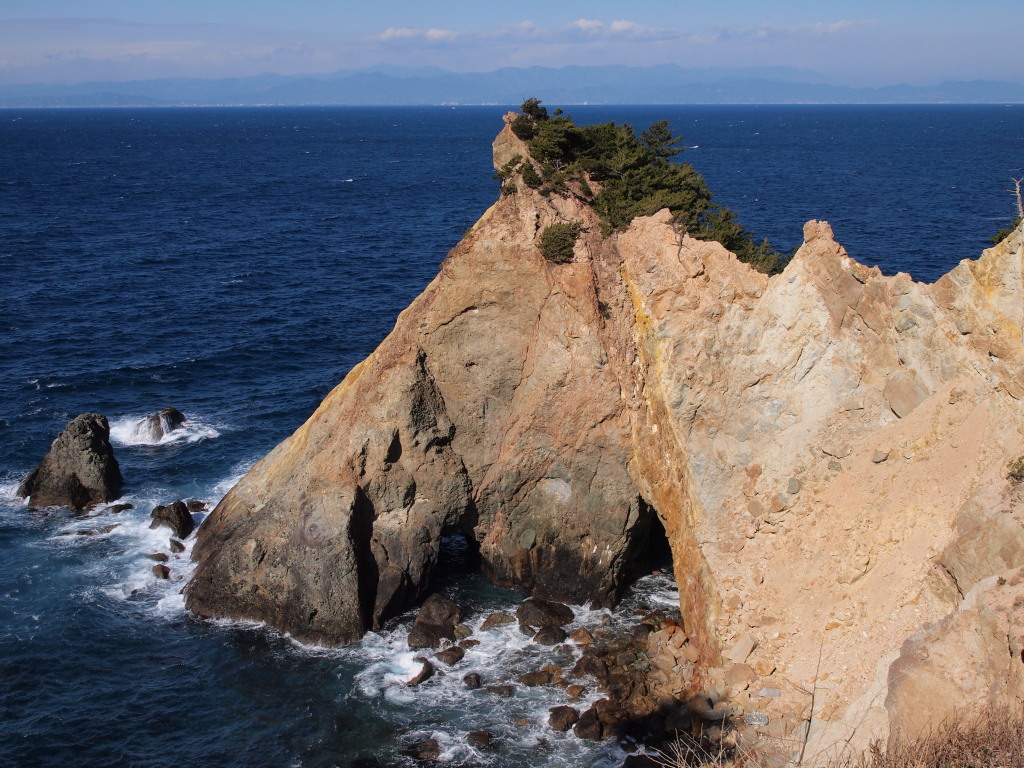 1/26 �����肩���Ɣg