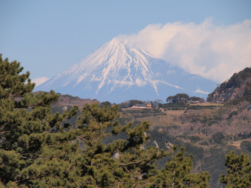 1/26 �����肩��̕x�m�R