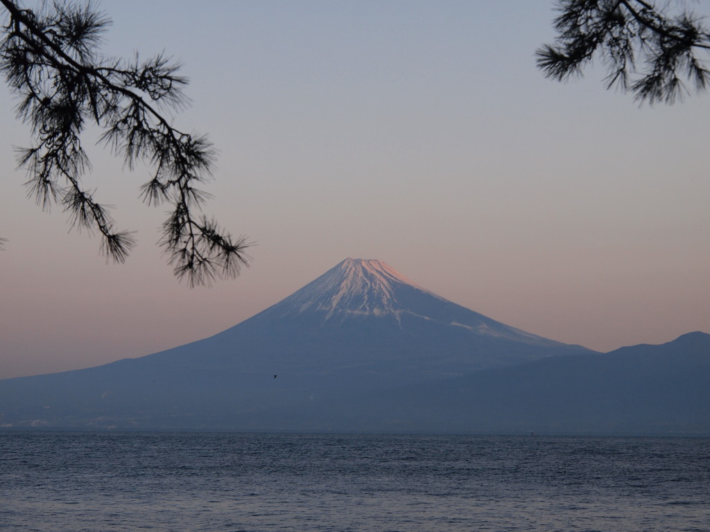 1/28 ���Ă��ƕx�m�R