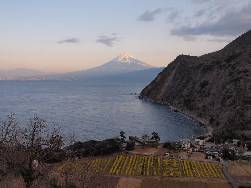 1/28 ���߂��̋u����̕x�m�R