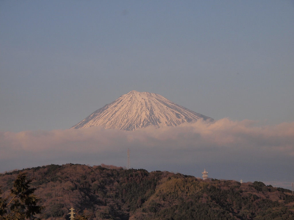 1/28 �[�Ă��O�̕x�m�R