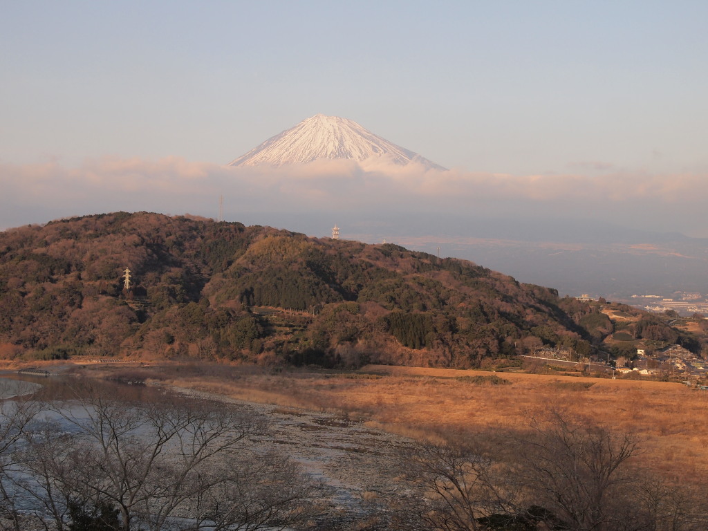 1/28 �x�m��z���̕x�m�R