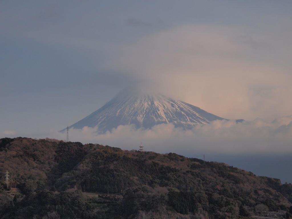 1/29 �_�������x�m�R