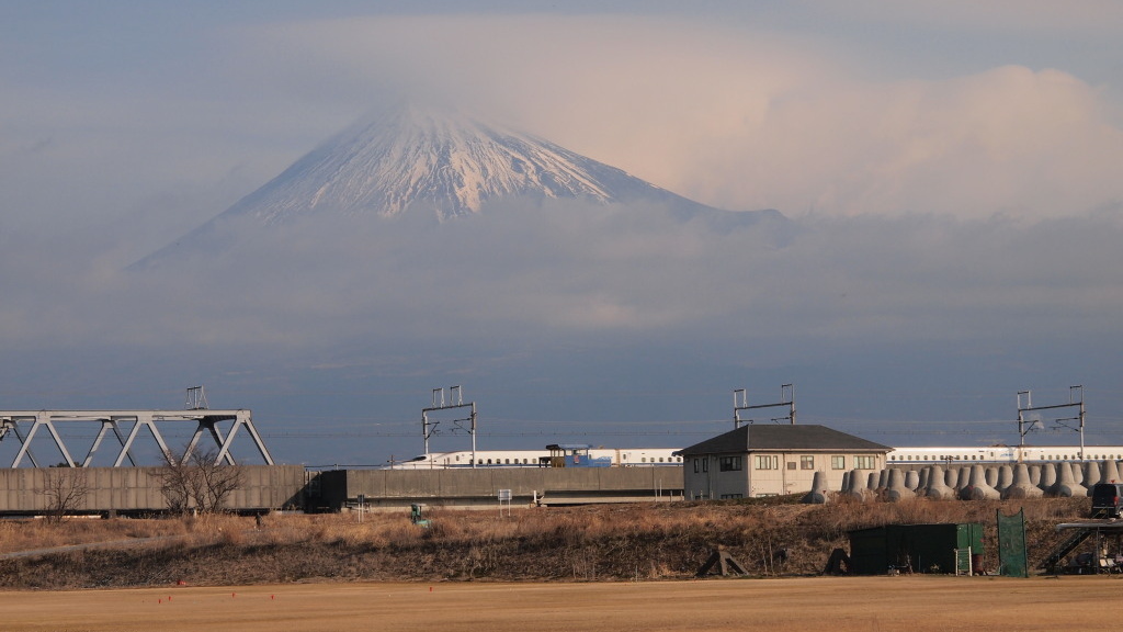 1/29 �V�����ƕx�m�R