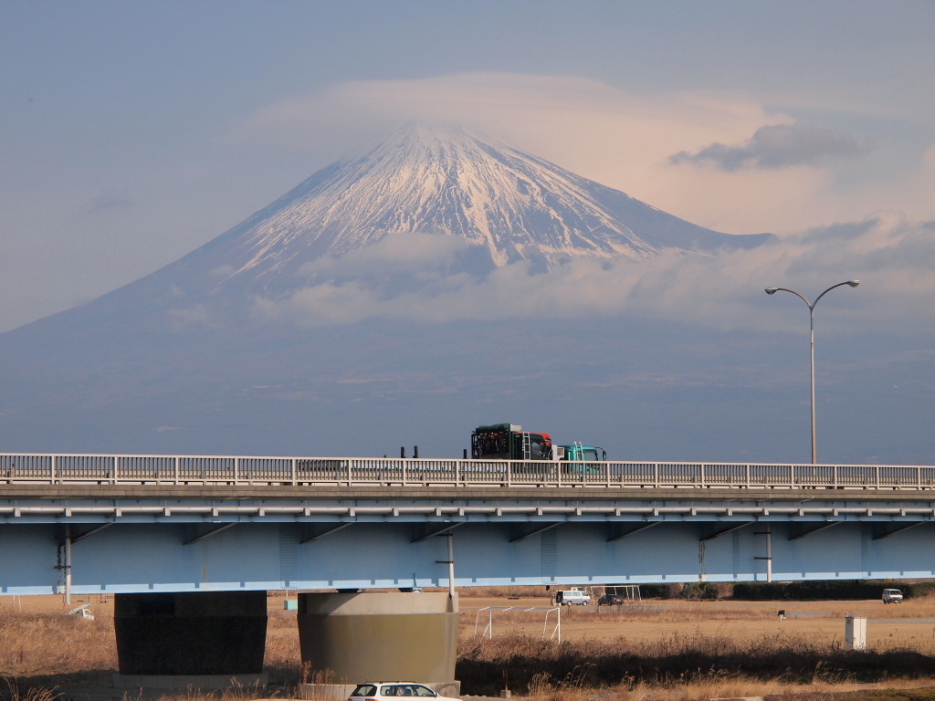 1/29 �����ꍆ���ƕx�m�R