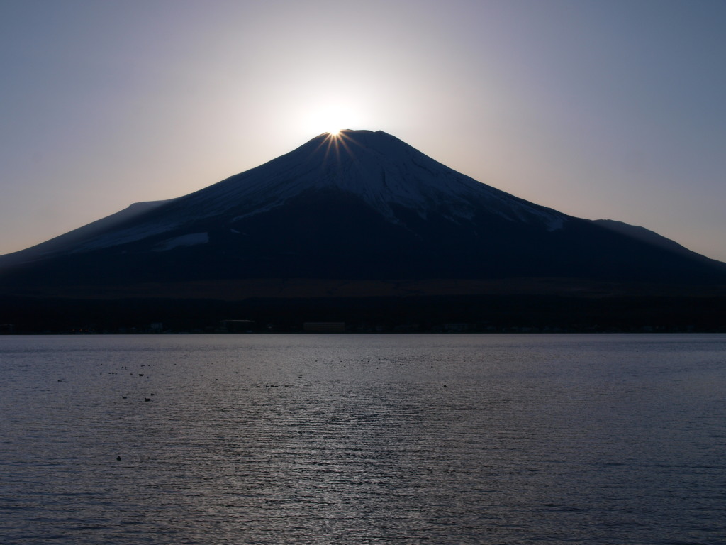 2/1 �_�C�������h�x�m(4)