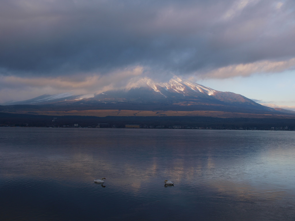 2/2 �_�̒��̕x�m�R