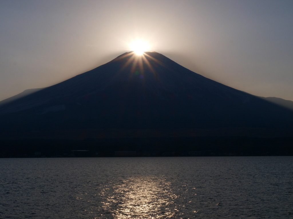 2/3 �_�C�������h�x�m