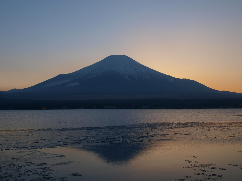 2/3 �[�Ă��̕x�m�R