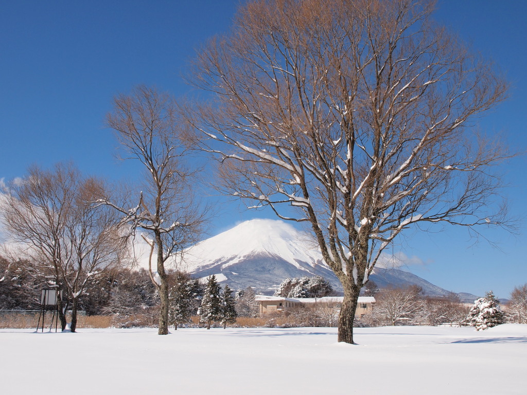 2/15 ���Ǝc�X�ƕx�m�R(2)