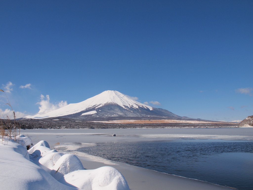 2/15 �X�����ꂽ�x�m�R