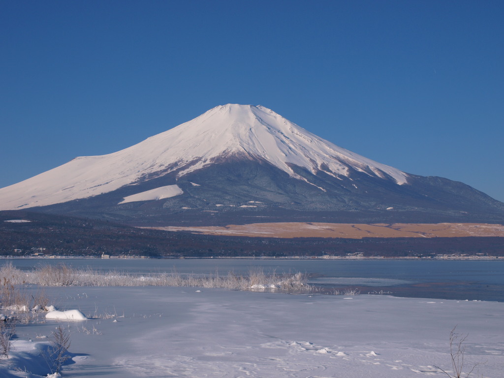 2/16 ���X�ƕx�m�R