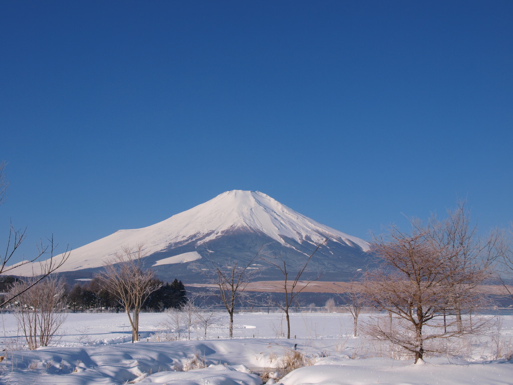 2/16 ���X�ƕx�m�R(2)