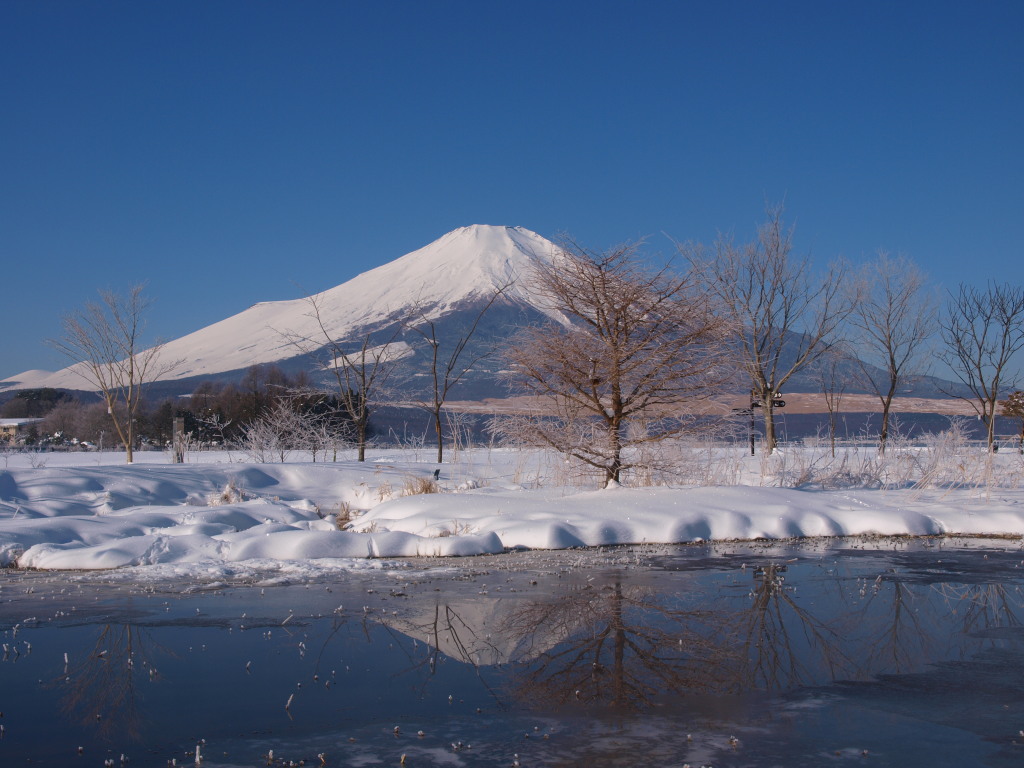 2/16 ���X�Ƌt���x�m